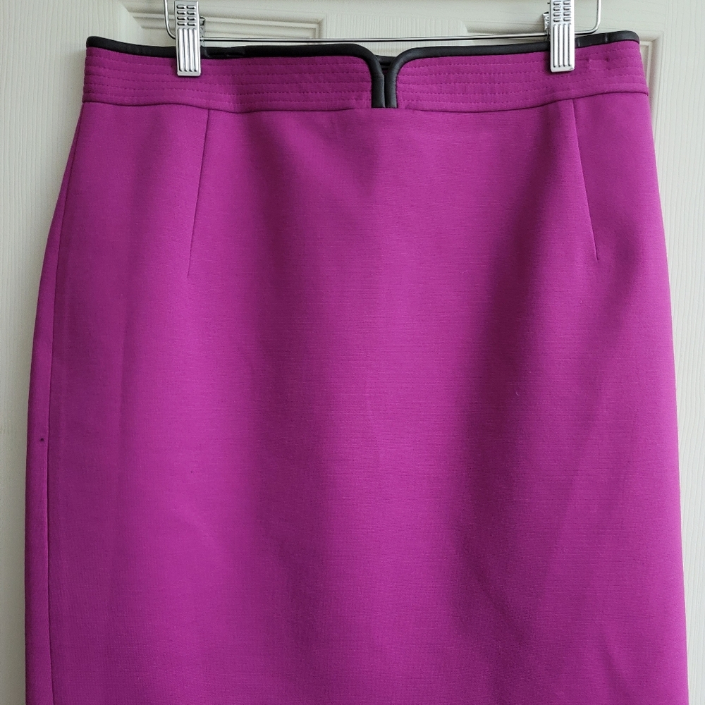 Tahari Skirt